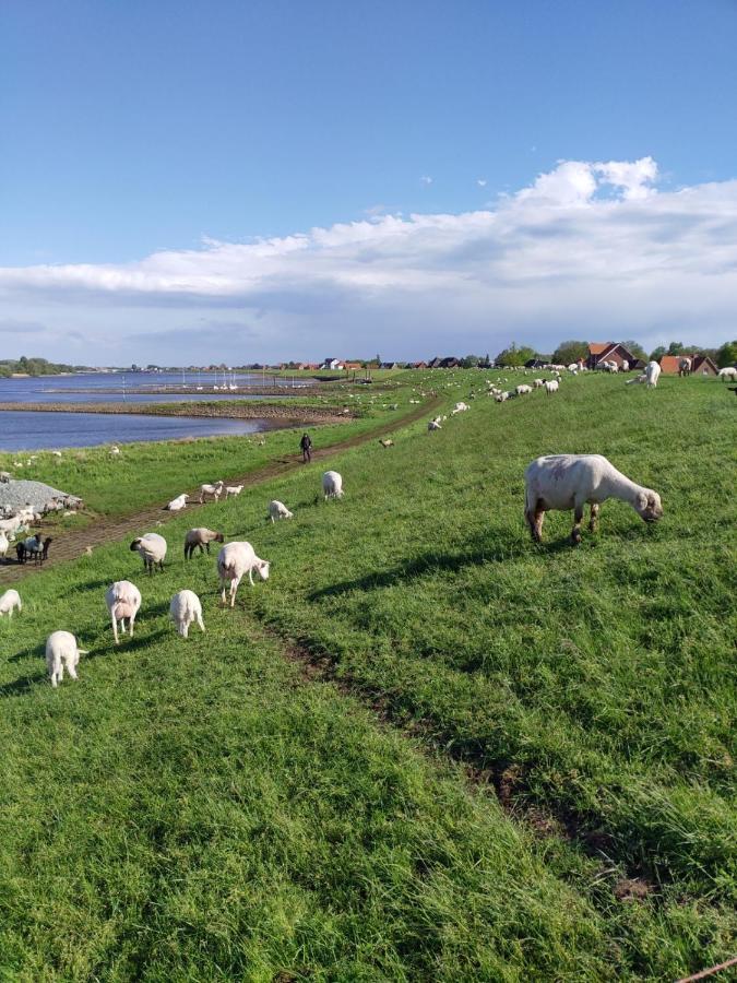 Elbe Diek Apartment Stelle
