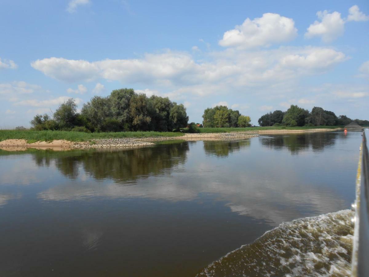 Elbe Diek